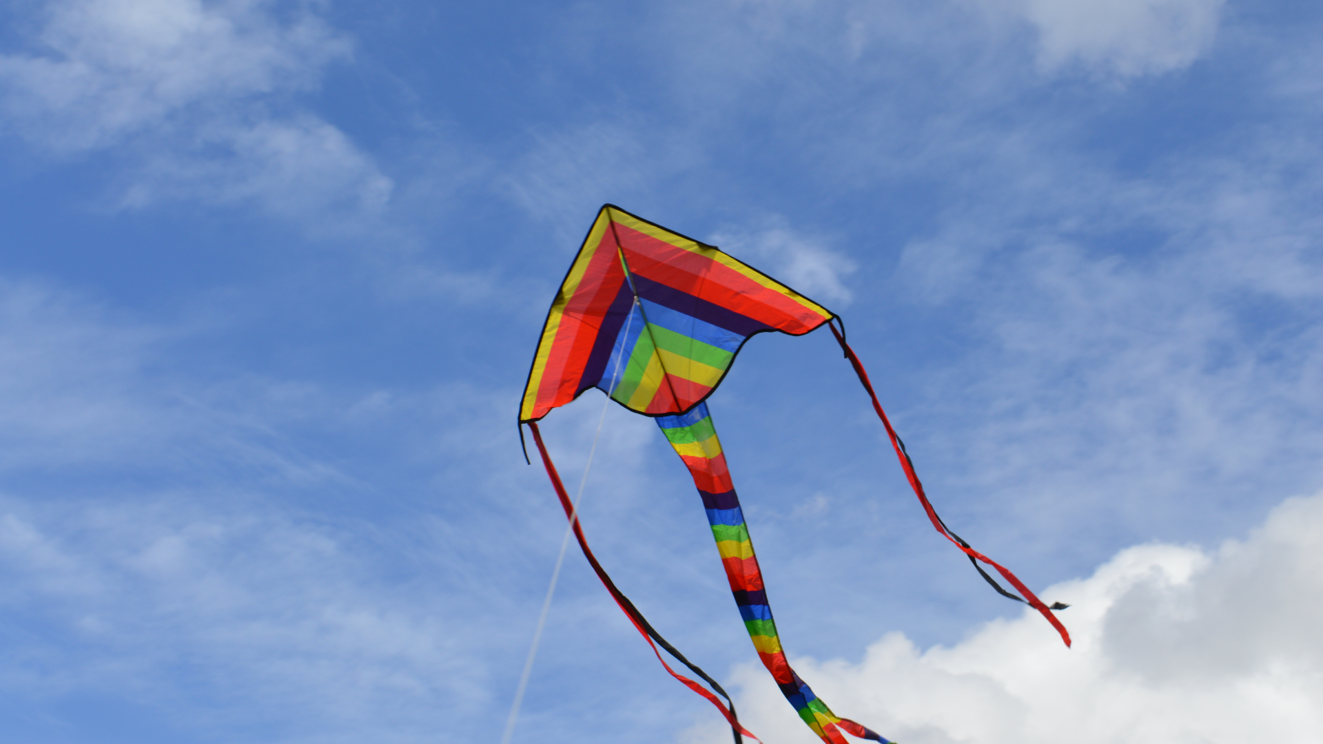 Kite flying in the sky