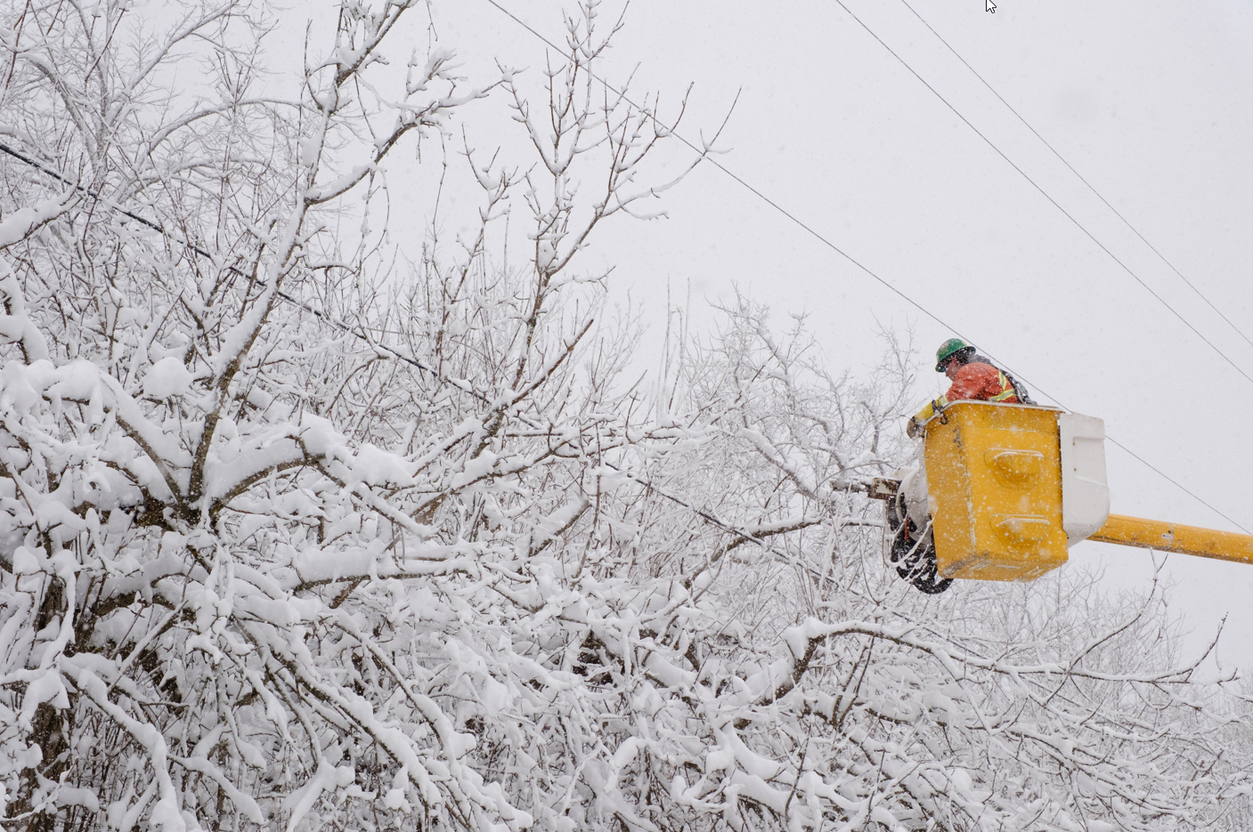 A powerline worker attempts to repair a hydro line surrounded by icy tree branches