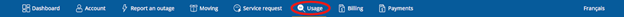 Usage menu section
