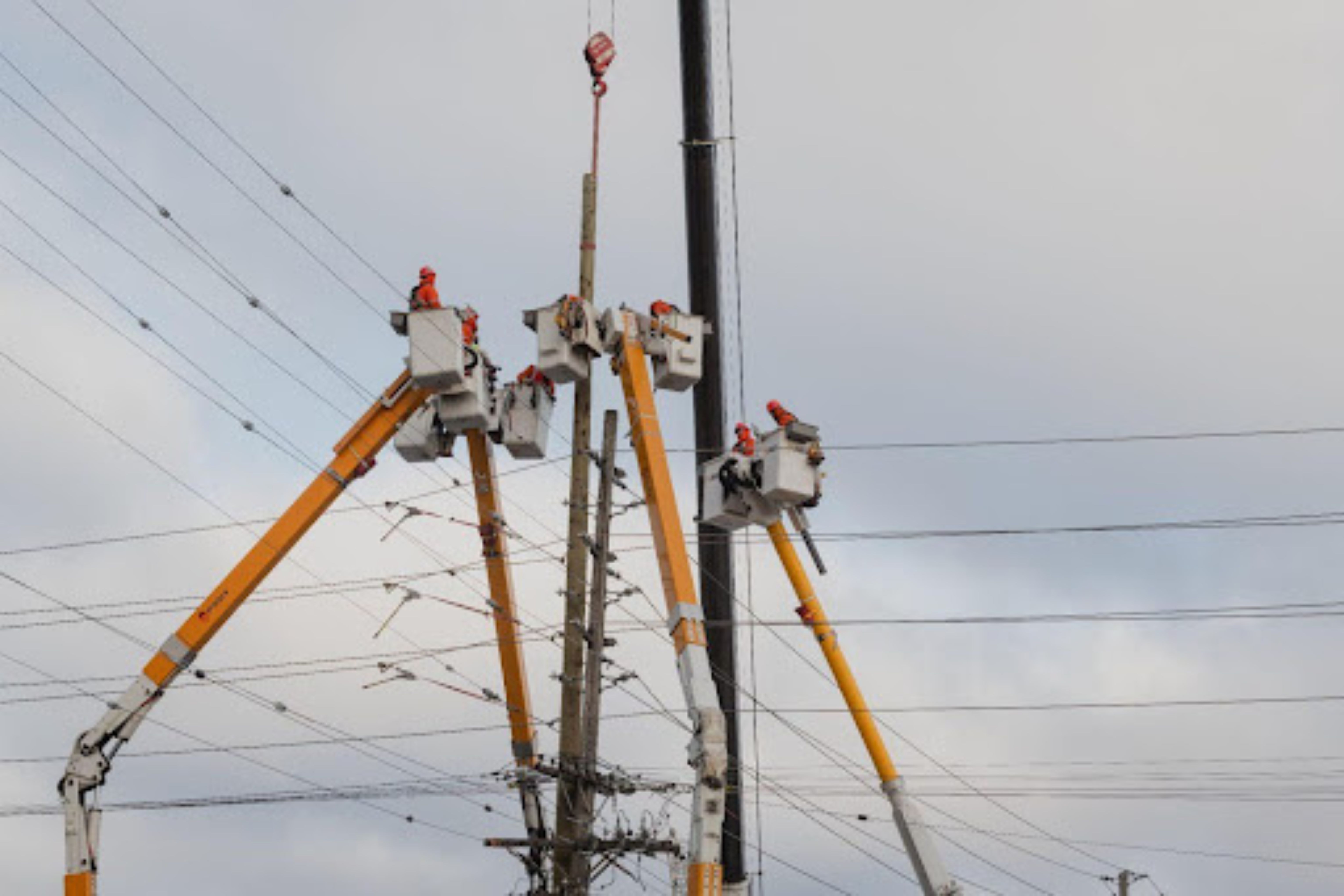 Several hydro workers in bucket trucks erecting a hydro pole