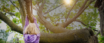 tree-trimming-safety