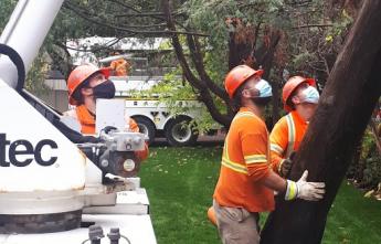 Hydro Ottawa crews installing a pole