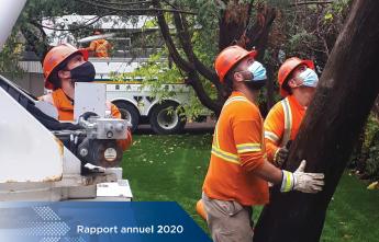 Rapport annuel 2020