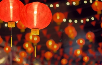 Year of the Snake