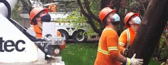 Hydro Ottawa crews installing a pole