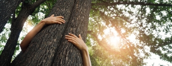 Person hugging tree