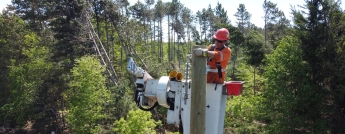 A hydro worker in a bucket with numerous downed trees behind him