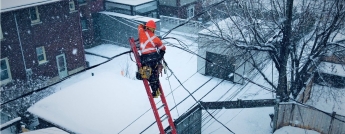 A hydro worker stands on a tall ladder in a backyard
