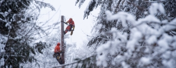 Hydro workers climb a pole in a wintery forest