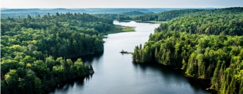 A river winds through a beautiful forest