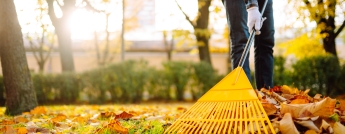 Ratissage des feuilles