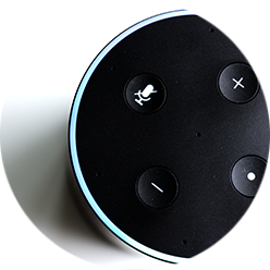 alexa smart speaker